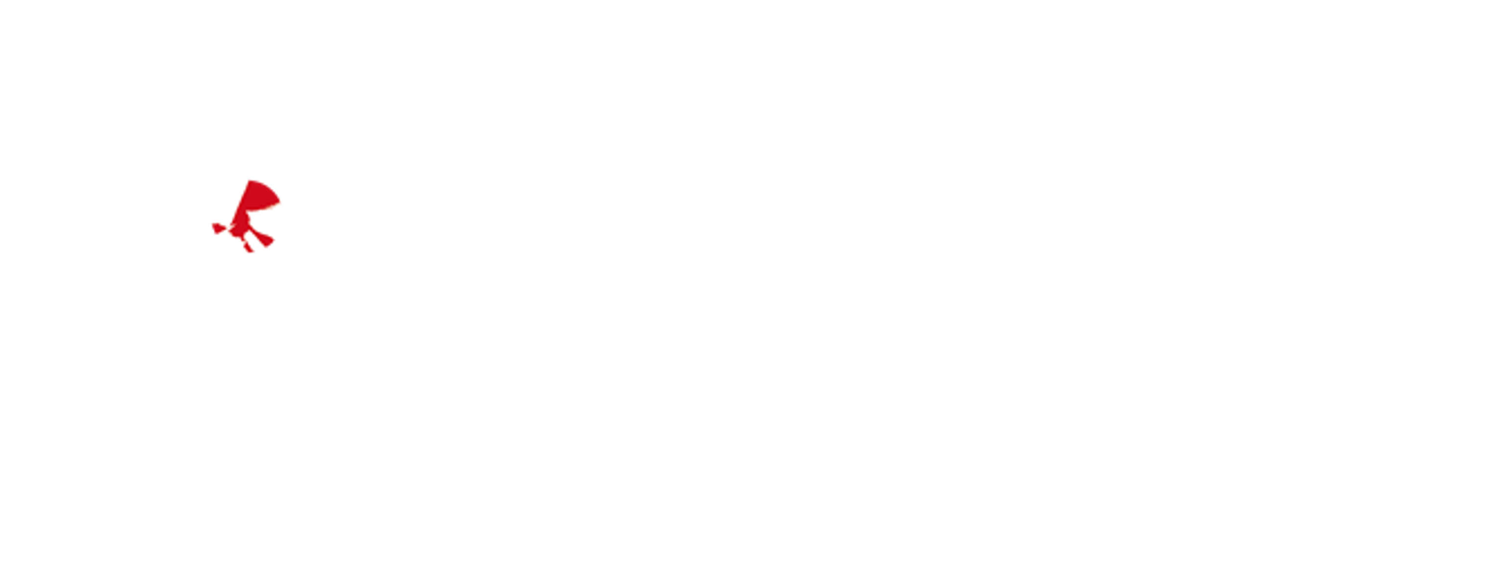 NINJA COUNCIL